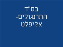 אליפלט - התרנגולים